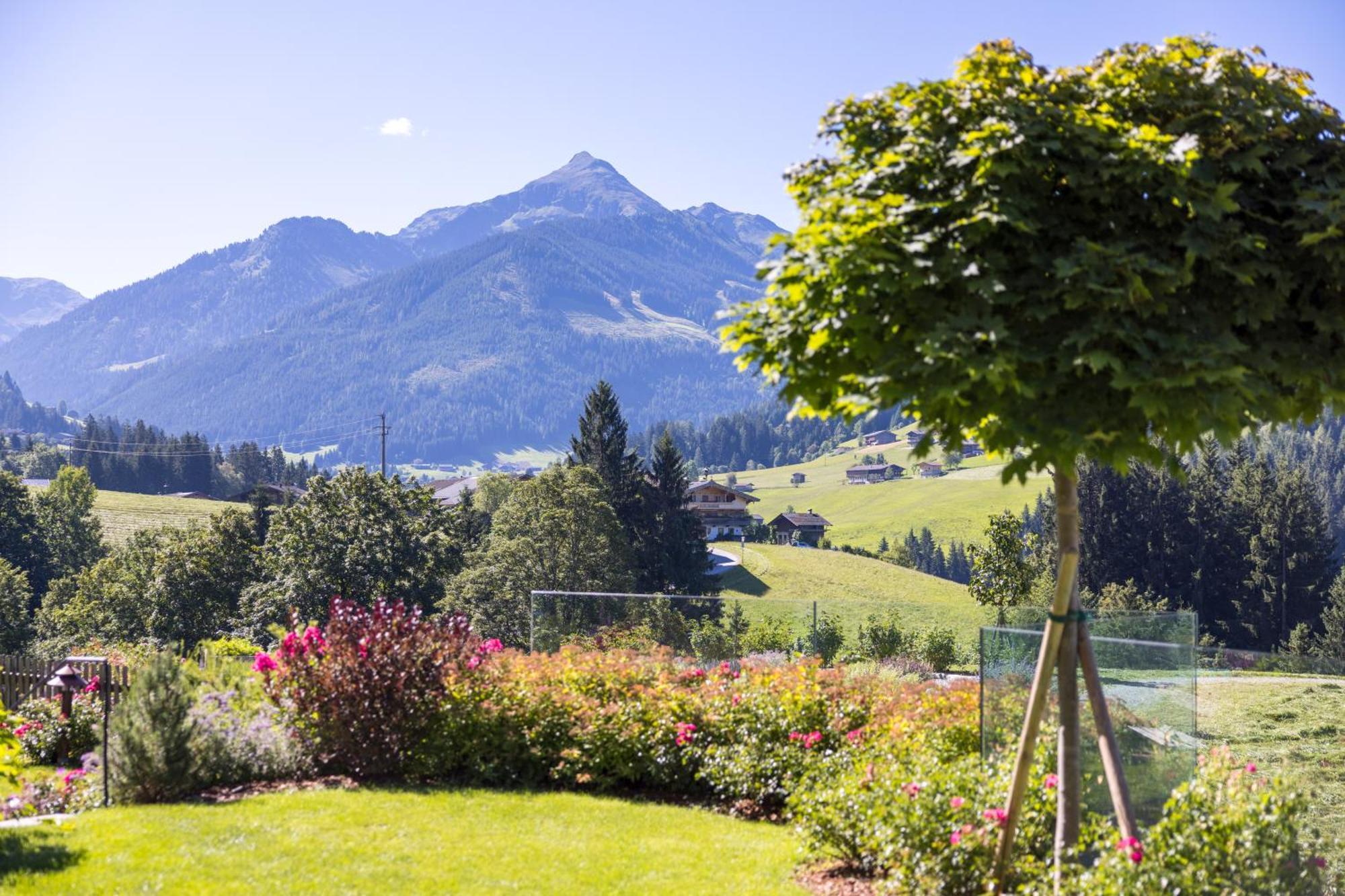 Alpbacherhof Mountain & Spa Resort エクステリア 写真